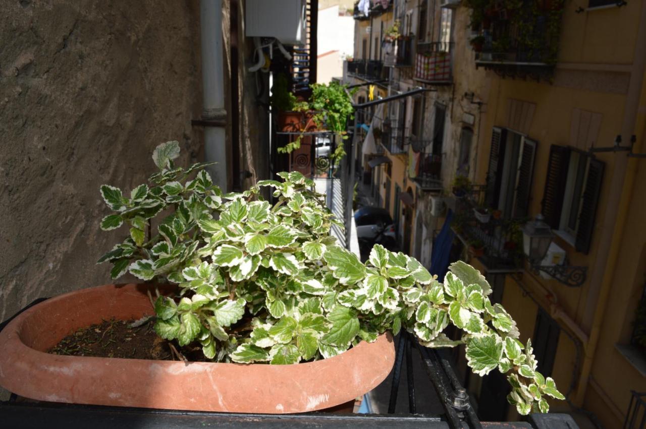 Futtitinni Home Casamia パレルモ エクステリア 写真